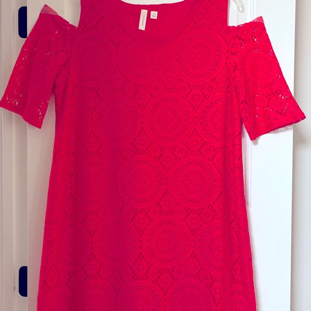 Womens plus size lace dress
